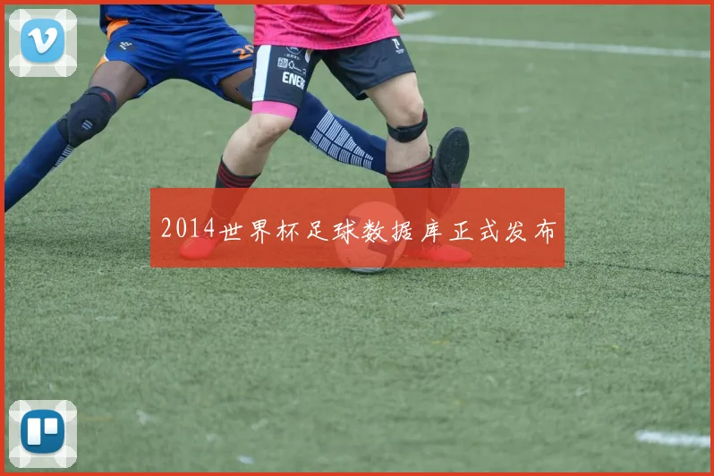 2014世界杯足球数据库正式发布