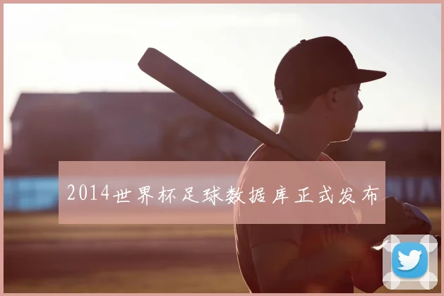 2014世界杯足球数据库正式发布