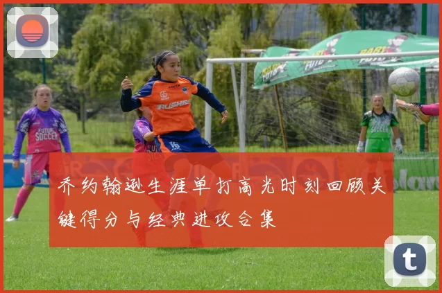 乔约翰逊生涯单打高光时刻回顾关键得分与经典进攻合集