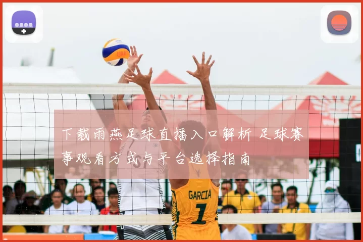 下载雨燕足球直播入口解析 足球赛事观看方式与平台选择指南