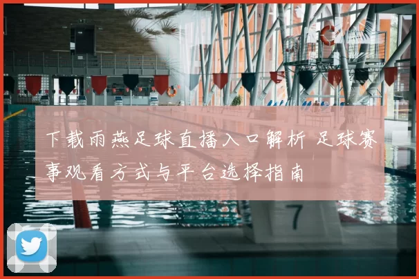 下载雨燕足球直播入口解析 足球赛事观看方式与平台选择指南